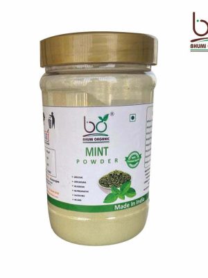Mint Powder -200gm