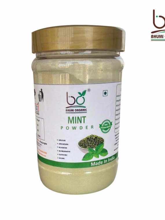 Mint Powder -400gm