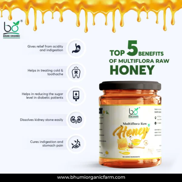 Bhumi Organic Natural Multiflora Honey – Pure, Raw & Unprocessed -1 KG