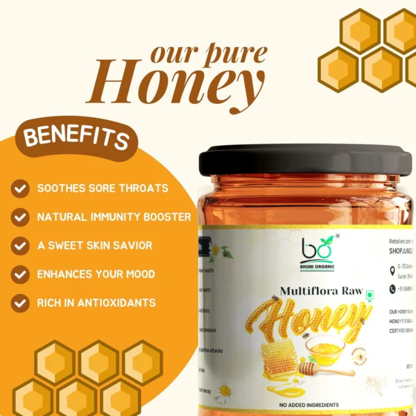 Bhumi Organic Natural Multiflora Honey – Pure, Raw & Unprocessed -1 KG