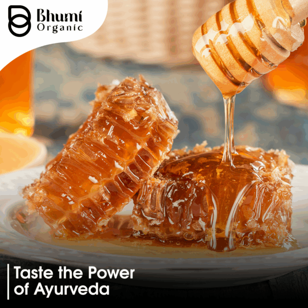 Organic Black Garlic Honey | 1 KG Infused Raw Honey with Aged Black Garlic | Nutrient-Rich Superfood Sweetener