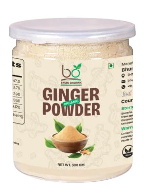 Bhumi Organic Ginger Root Powder – Pure & Potent Ayurvedic Superfood - 300 GM