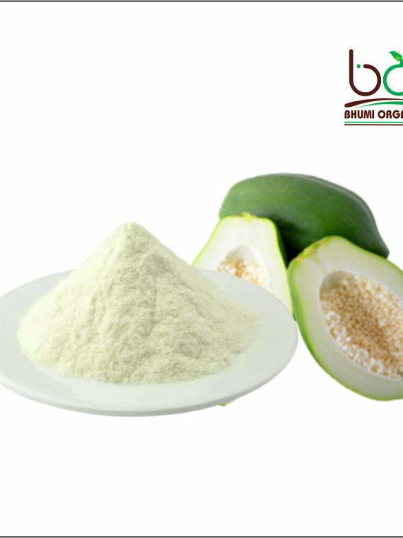 Raw Papaya Powder- 800 GM