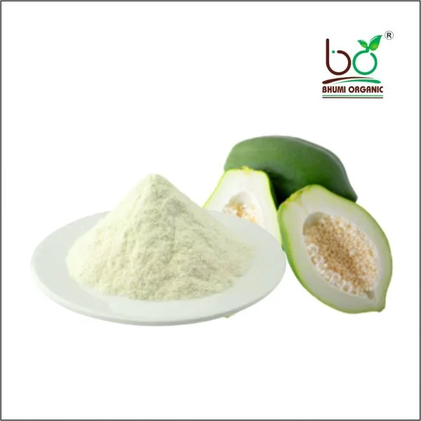 Raw Papaya Powder- 800 GM