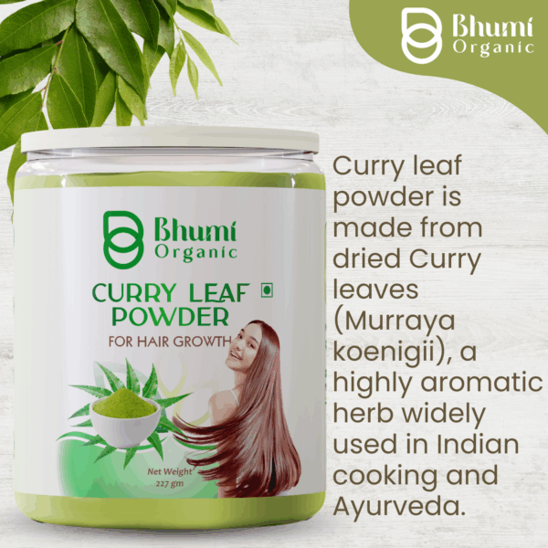 Bhumi Organic Curry Leaves Powder – 227 GM