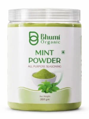 Bhumi Organic Mint Powder 350g (Pack of 3) – 100% Pure & Natural Pudina Powder | Refreshing Herbal Powder | Supports Digestion & Cooking Use | No Preservatives