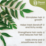 Bhumi Organic Curry Leaves Powder – 227 GM