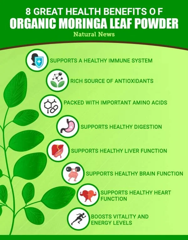 Moringa Leaf Powder - 800 GM