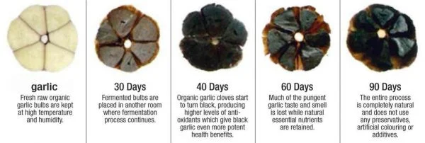 Black Garlic with Healthy Nutrients