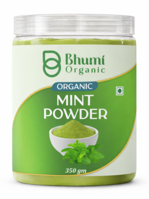 Bhumi Organic Mint Powder 350g (Pack of 3)