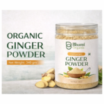 Organic Ginger Powder | 340gm