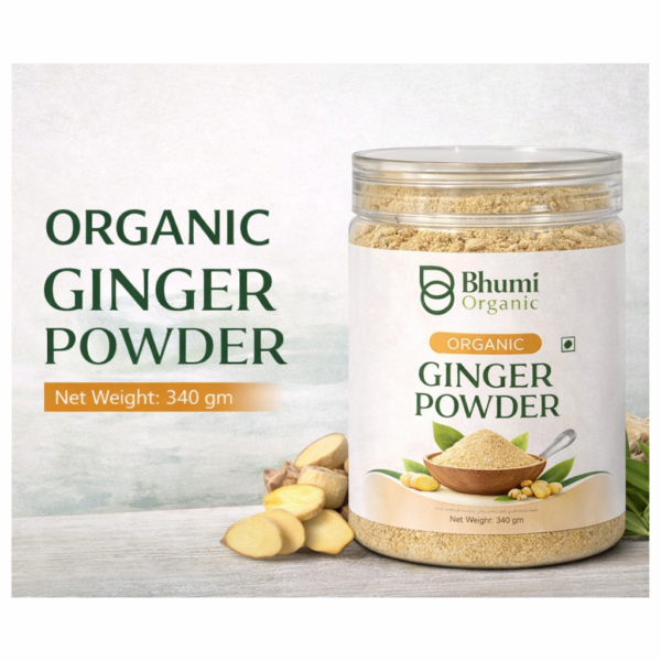 Organic Ginger Powder | 340gm