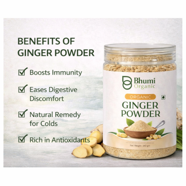 Organic Ginger Powder | 340gm