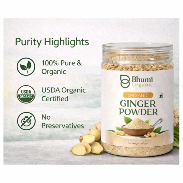 Organic Ginger Powder | 340gm