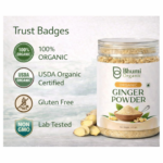 Organic Ginger Powder | 340gm