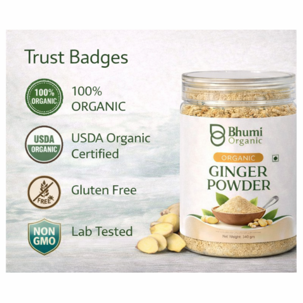 Organic Ginger Powder | 340gm