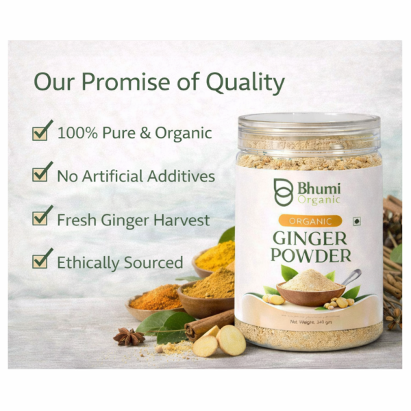 Organic Ginger Powder | 340gm
