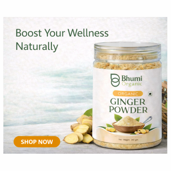 Organic Ginger Powder | 340gm