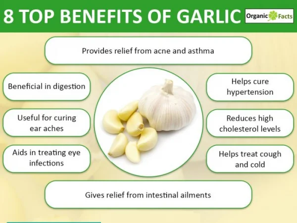 Garlic Powder - 800 GM