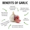 Garlic Powder - 400gm