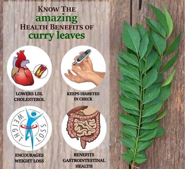 Curry Leaves Powder -800 GM