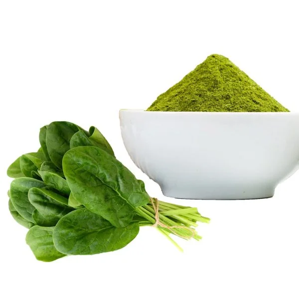 Spinach Powder - 800 GM