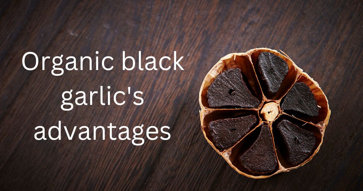 Organic black garlic’s advantages