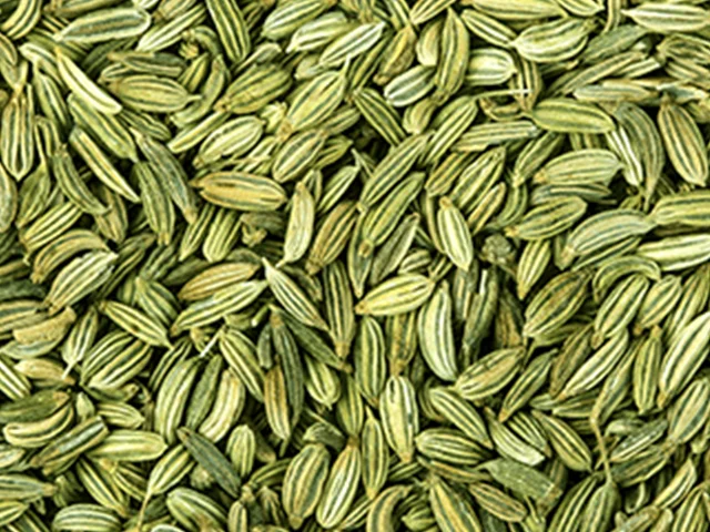 fennel-seeds-1