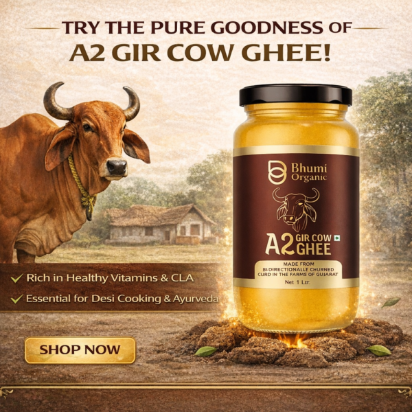 Bhumi Organic A2 Gir Cow Bilona Ghee 1LTR | Traditional Wooden Churned