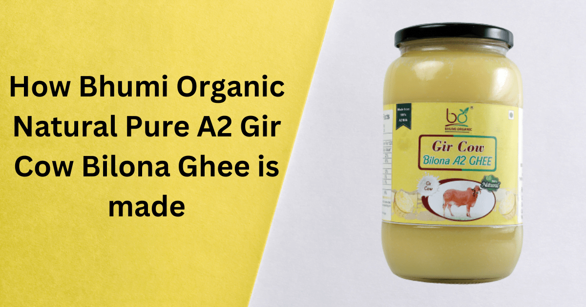 How Bhumi Organic Natural Pure A2 Gir Cow Bilona Ghee is made
