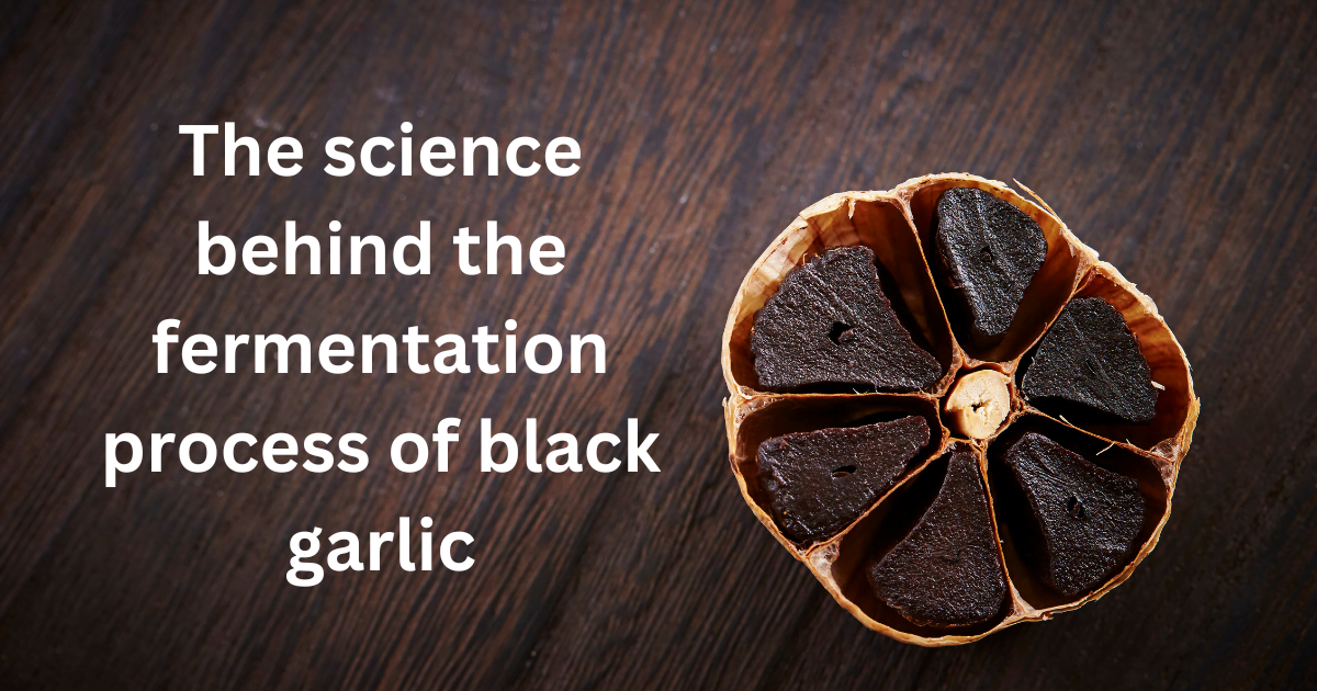 The science behind the fermentation process of black garlic