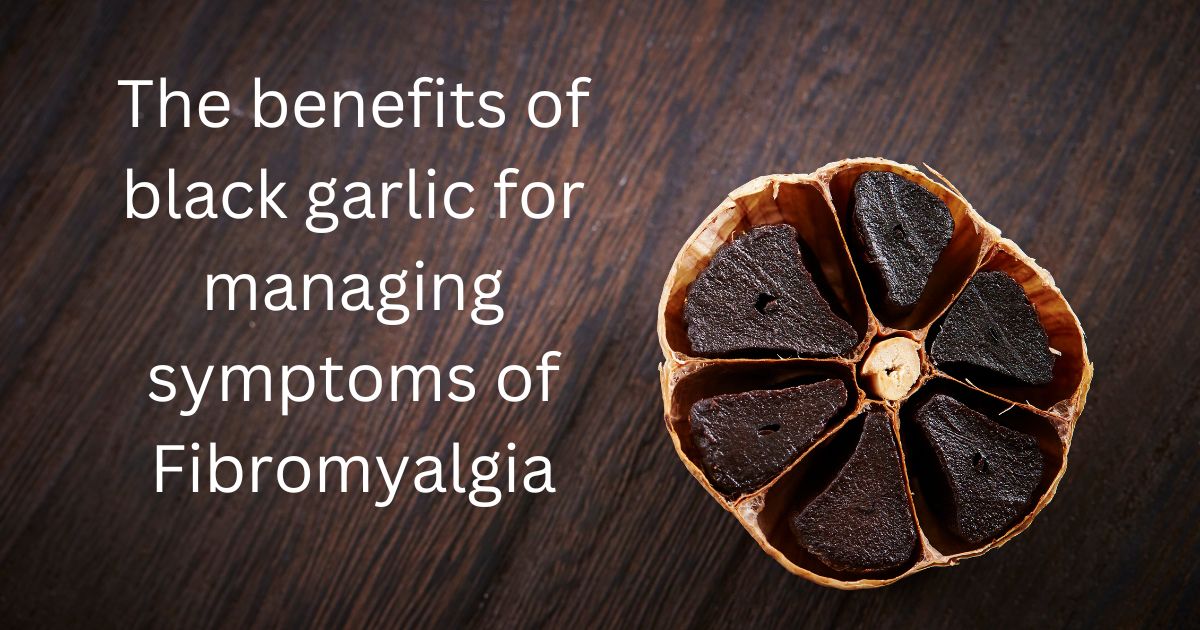 The benefits of black garlic for managing symptoms of Fibromyalgia