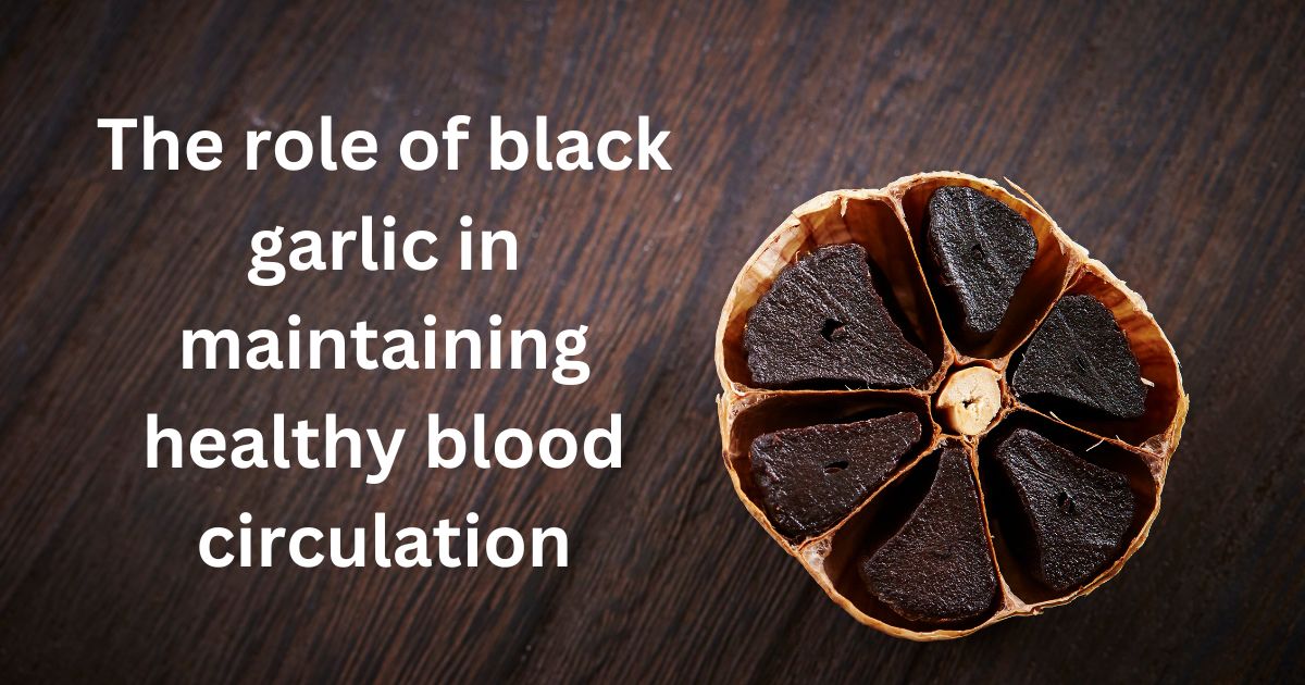 The role of black garlic in maintaining healthy blood circulation