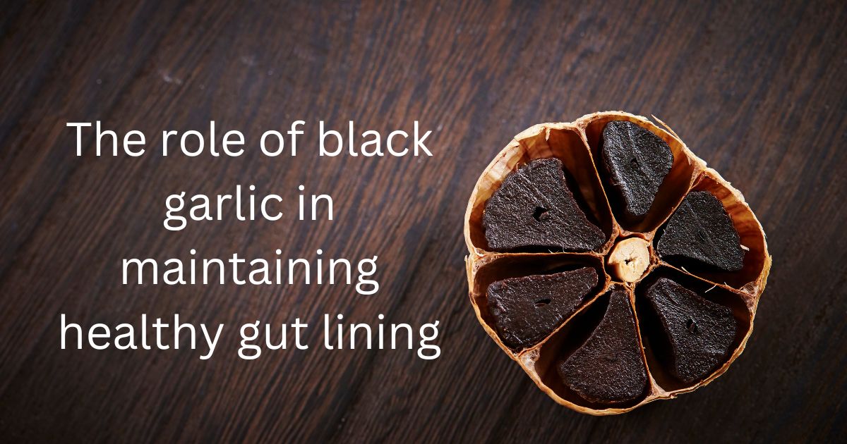 The role of black garlic in maintaining healthy gut lining