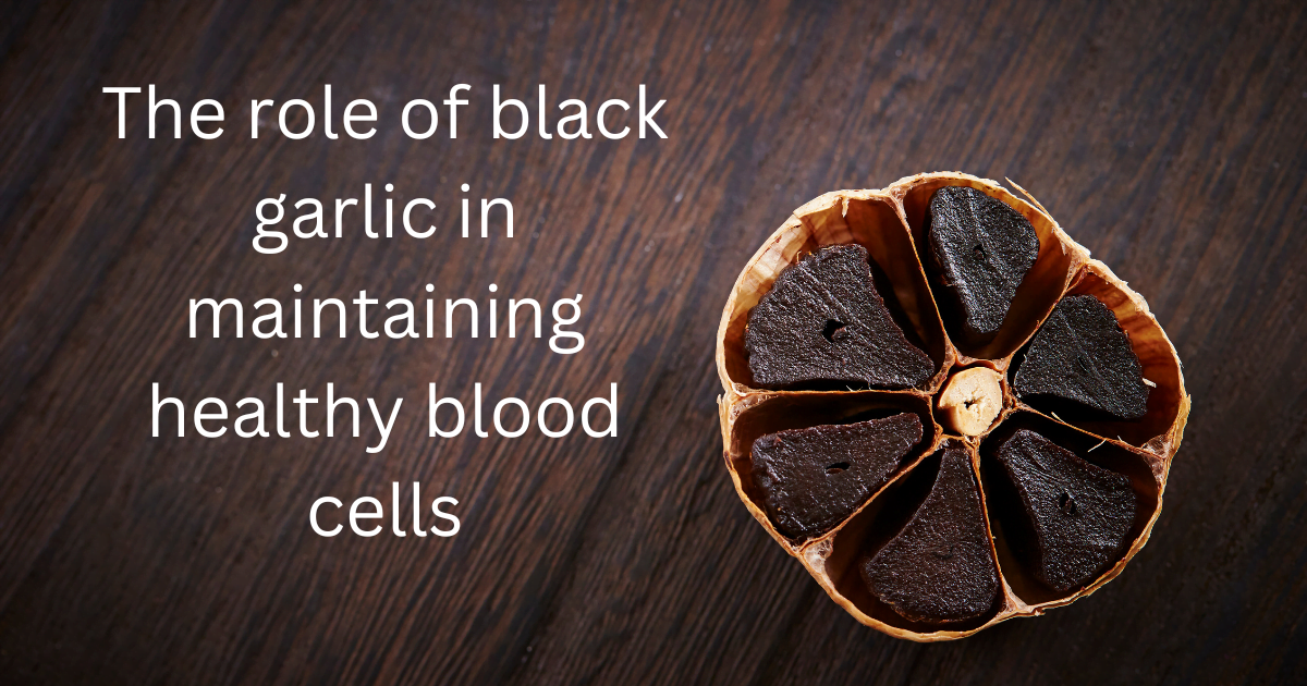 The role of black garlic in maintaining healthy blood cells