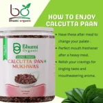 Bhumi Organic Calcutta Meetha Paan Mukhwas – Sweet Paan Flavor (300 gm)