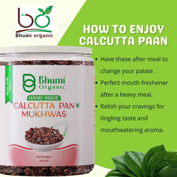Bhumi Organic Calcutta Meetha Paan Mukhwas – Sweet Paan Flavor (300 gm)