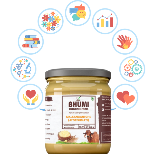 Bhumi Organic Malkangani Ghee - Ayurvedic Herbal Ghee for Brain Health, Memory Enhancement & Cognitive Wellness | 100% Organic & Natural