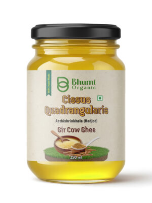 Bhumi Organic Asthishrinkhala Ghee – Ayurvedic Bone Health Support
