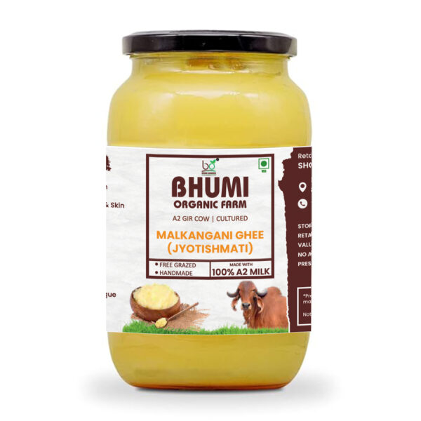 Bhumi Organic Malkangani Ghee - Ayurvedic Herbal Ghee for Brain Health, Memory Enhancement & Cognitive Wellness | 100% Organic & Natural