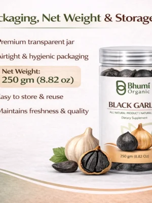 ChatGPT Image Jan 6, 2026, 12_42_08 PM