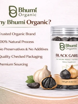 ChatGPT Image Jan 6, 2026, 12_44_18 PM