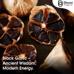 Black Garlic Capsules | 500mg Pure Extract for Heart Health & Immune Support | 60 Vegan Pills