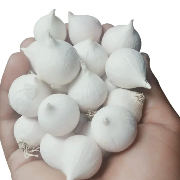 Bhumi Organic Single Clove Garlic