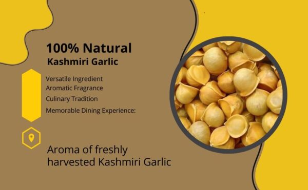 Bhumi Organic Kashmiri Garlic - Premium Single Clove Himalayan Garlic | Immune-Boosting, Anti-Inflammatory Superfood with Natural Health Benefits