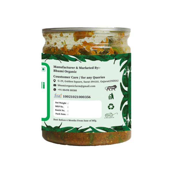 Bhumi Organic Green Chilli Pickle – Spicy & Flavorful Homemade Indian Achar | Non-GMO & Gluten-Free | Made with Natural Ingredients, 350g