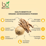 Bhumi Organic Ashwagandha Powder - 250g | Stress Relief, Strength & Vitality | Certified Organic