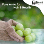 Bhumi Organic Amla Powder 500g | For Hair Growth, Immunity & Vitamin C