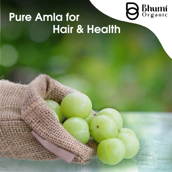 Bhumi Organic Amla Powder 500g | For Hair Growth, Immunity & Vitamin C
