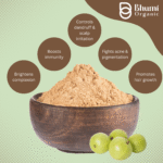 Bhumi Organic Amla Powder 500g | For Hair Growth, Immunity & Vitamin C